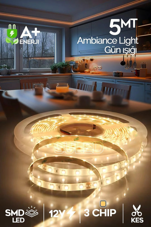 Belora & Co. Şerit Led 5 Metre Gün Işığı 3 Çipli Pro Ambiyans Aydınlatma
